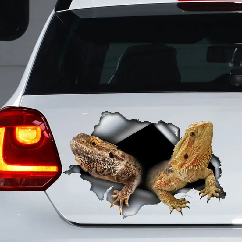 

Bearded lizard car decal , beardie car sticker, beardie decal ,magnet
