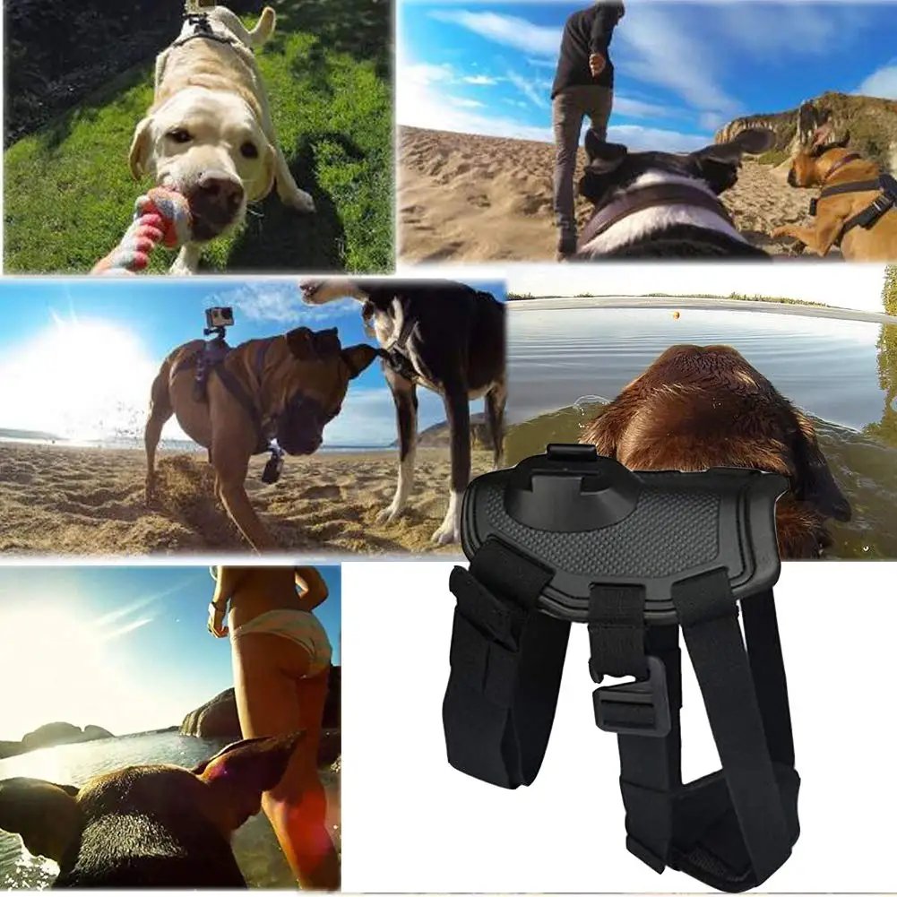 

Adjustable Dog Harness Portable Pet Chest Vest Soft Harness Strap for Dogs Outdoor Travel Camcorder Cases Pets Accessories
