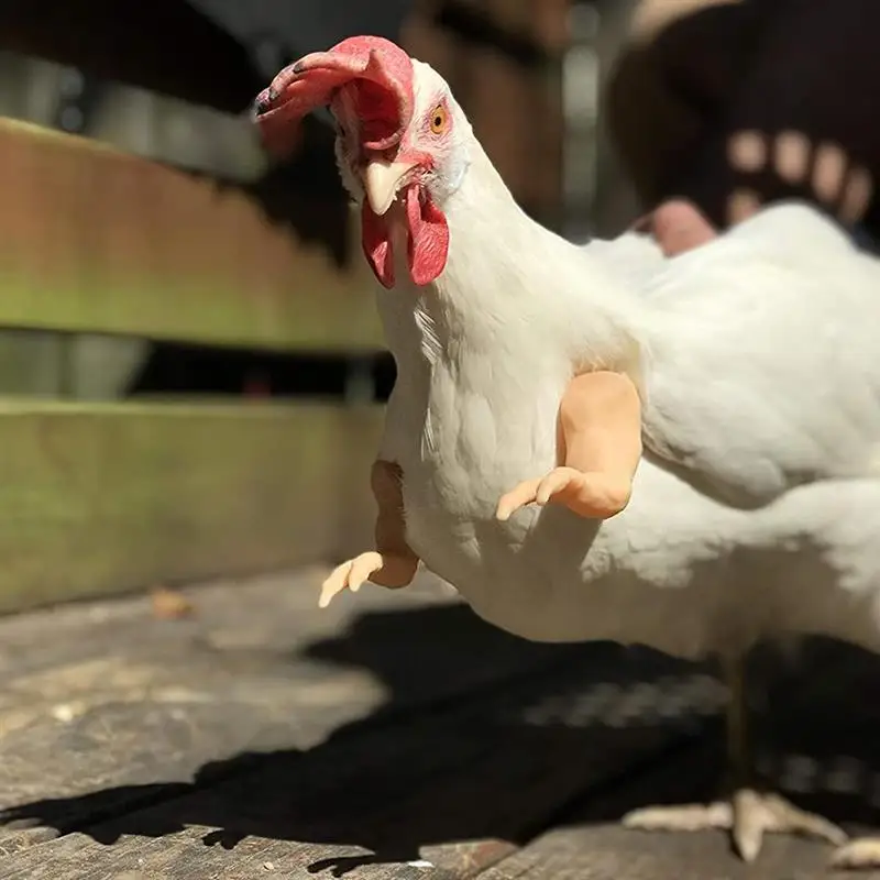 Курица руки кляп подарок костюм цыпленка оружием игрушки для домашних животных