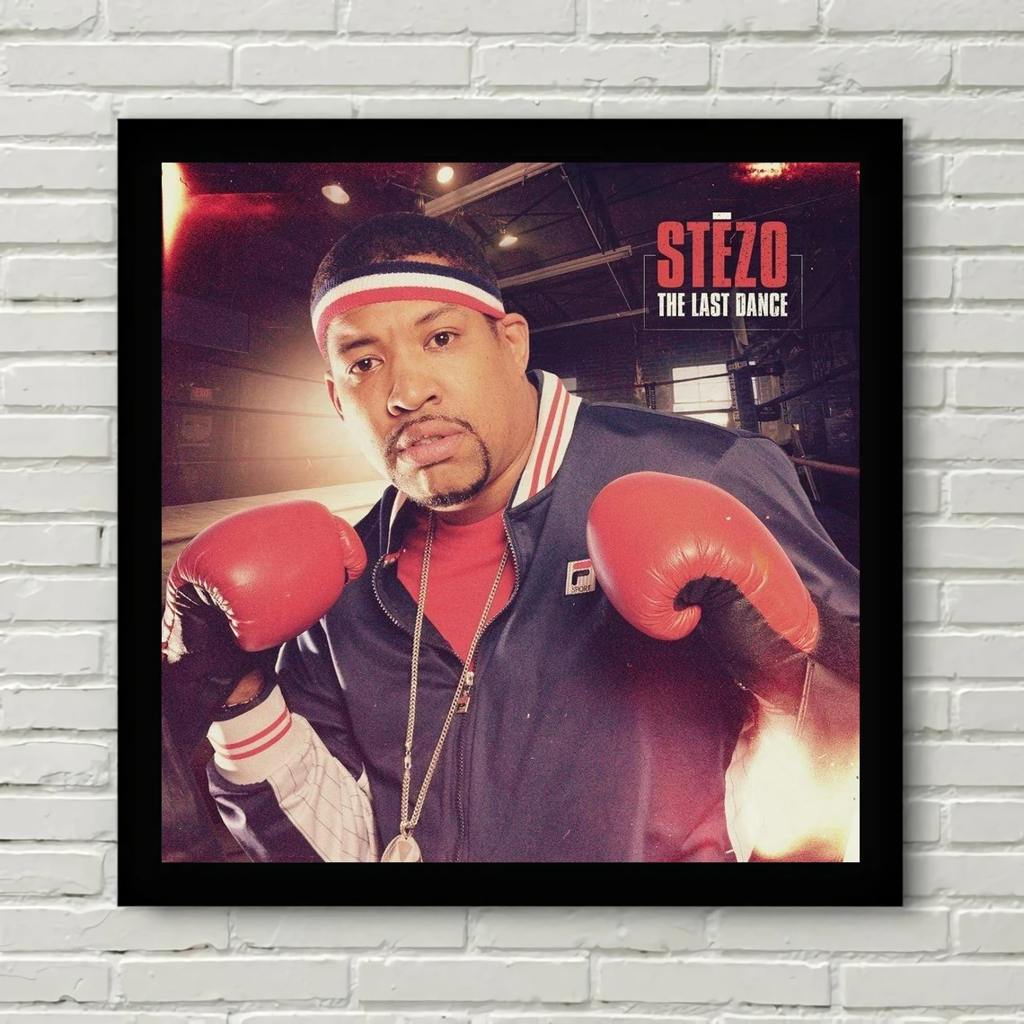 

Stezo - The Last Dance Music Album Cover Poster Canvas Print Home Decoration Painting ( No Frame )