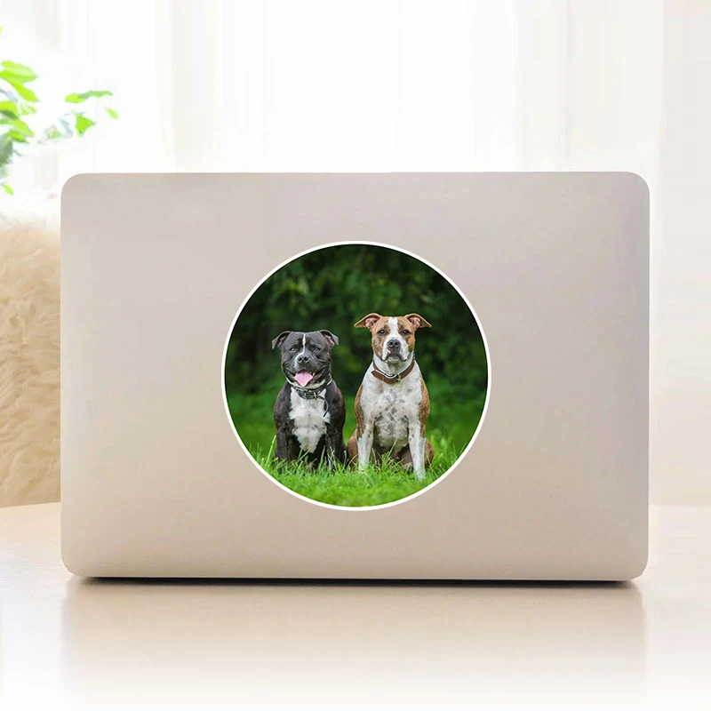 

Английский стаффордширский пес Виниловая наклейка для ноутбука / транспортных средств / стены / планшета / окна / двери / телефона, наклейки д...