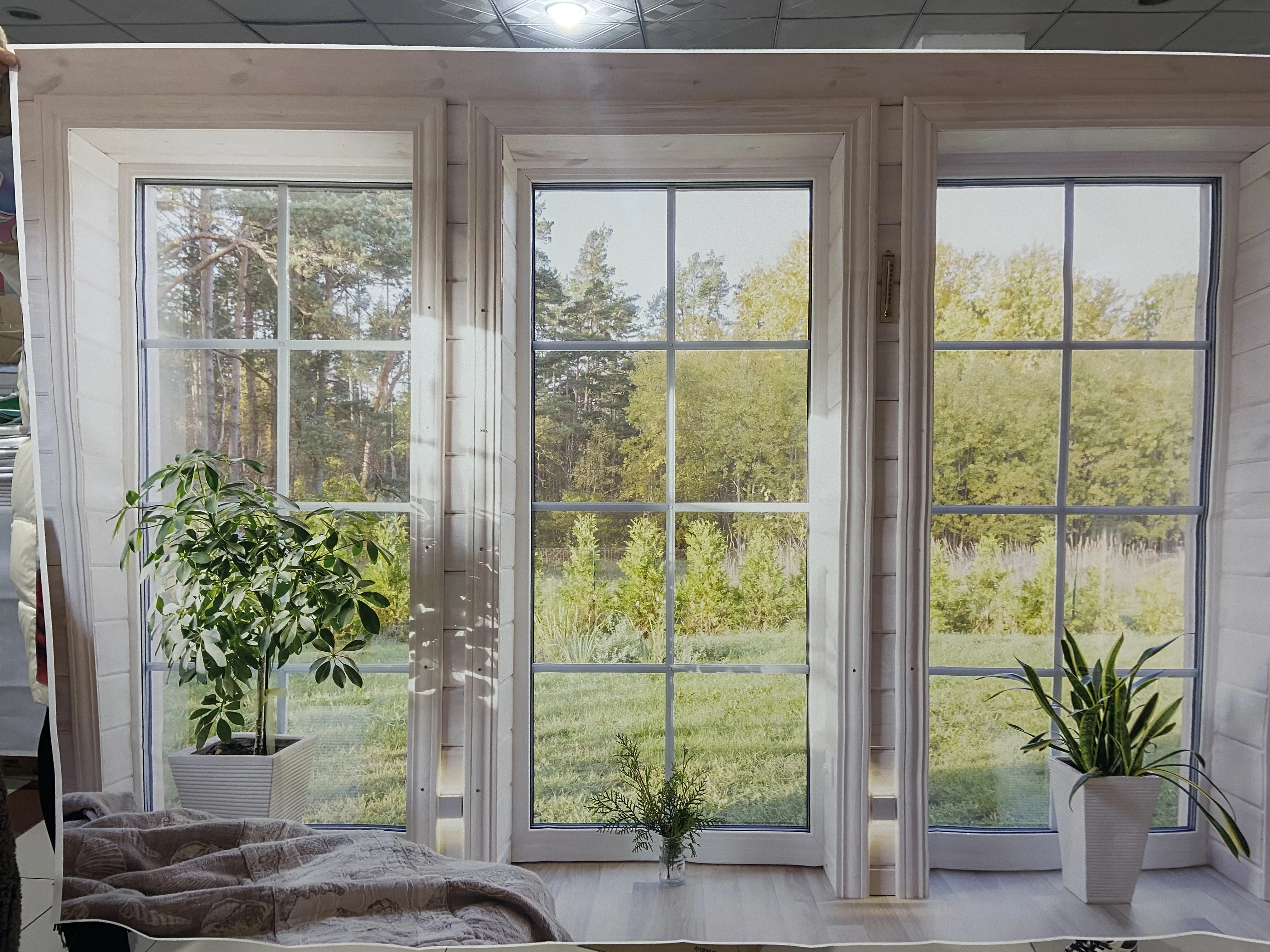 Весенний фон для фотосъемки с изображением Морского Пейзажа и окон офиса |