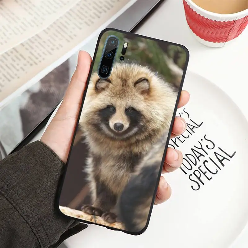 

Animal Raccoon Fox Phone Case For Huawei P40 P20 P30 lite Pro P Smart 2019 Mate 40 20 10 Lite Pro Nova 5t