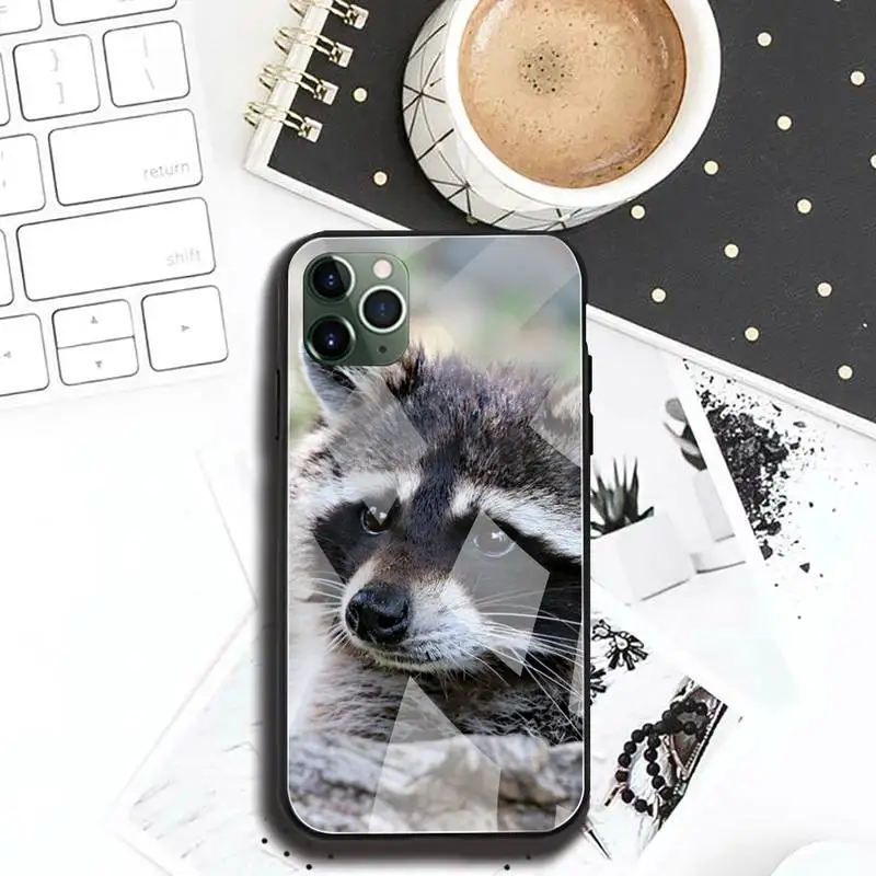 animal raccoon phone case tempered glass for iphone 12 pro max mini 11 pro xr xs max 8 x 7 6s 6 plus se 2020 cover free global shipping
