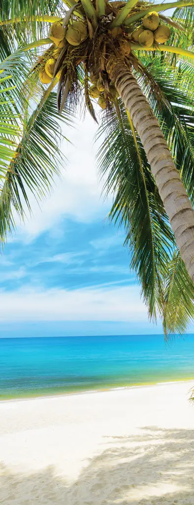 Фото 3D Seaside Palm Tree Door Mural Wall Art Wallpaper mural Print Decal Deco Photo self adhesive door wrap Дом и сад 3D Seaside Palm Tree Door Mural Wall Art Wallpaper mural Print Decal Deco Photo self adhesive door wrap Дом и сад