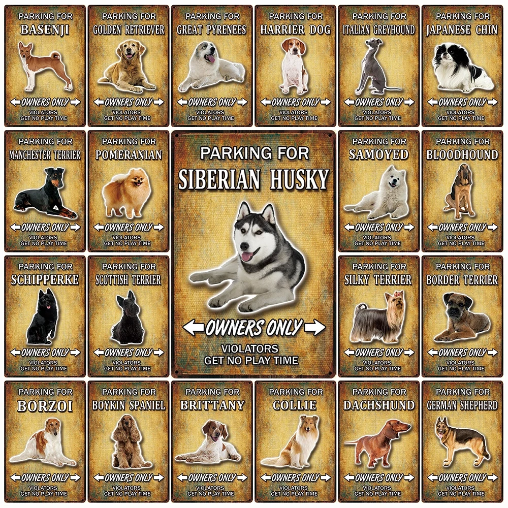 [Kelly66] собака колли Манчестер шелковистые шотландского терьера Оловянная