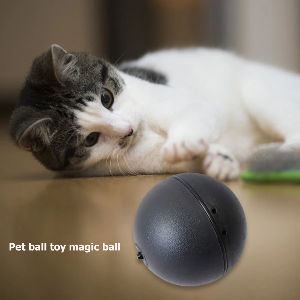 

Pet Dogs Cat Chew Molar Toys Interactive Floor Clean Magic Roller Ball 5x Durability Funny Bite Squeak Bauble Cat Toy