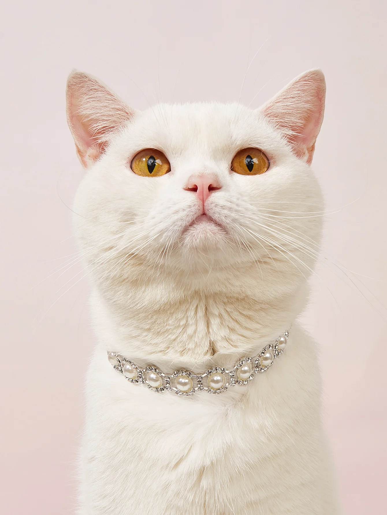 

2.Dog Cat Pearl Collars with Crystal Rhinestone Diamond Décor, Adjustable Cute Fashion Pet PU Leather Collars Necklace for Small