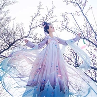 new ladies hanfu chinese style ancient traditional wedding dress fantasia palace princess womens carnival costumes