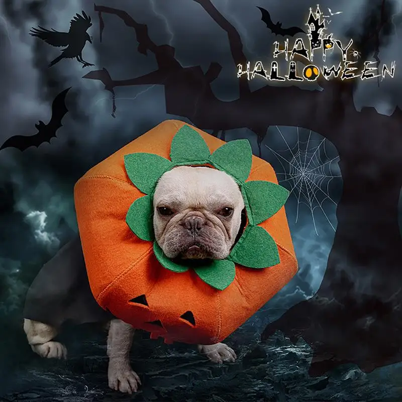 

Halloween Pet Recovery Collar Halloween Party Pumpkin Pet Protective Collar For Dog Cat