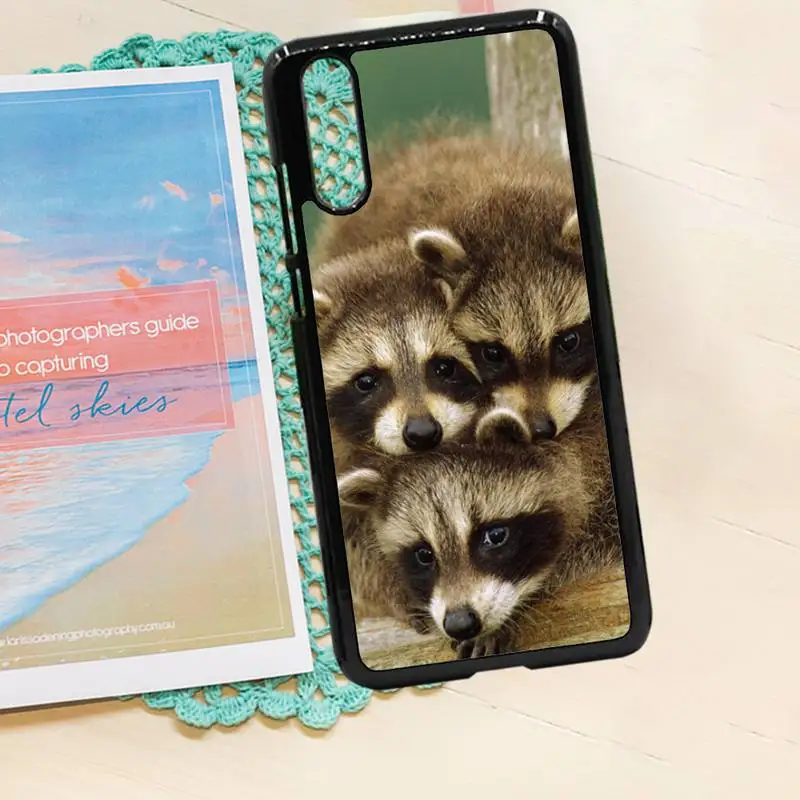 

Raccoon animal case for airpods cover Phone Case PC for iPhone 11 12 pro XS MAX 8 7 6 6S Plus X 5S SE 2020 XR