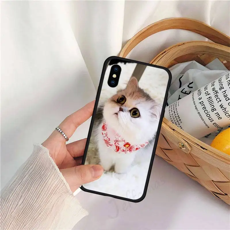 

Cat Cartoon lovely pets Animal Phone Case for iPhone 11 12 mini pro XS MAX 8 7 6 6S Plus X 5S SE 2020 XR high quality funda