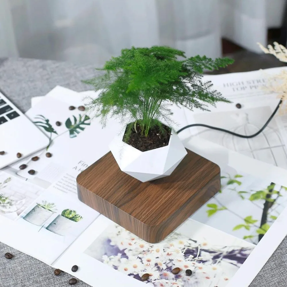 

Levitating Plant Pot Floating Suspension Flower Air Bonsai Magnetic Levitation En Flowerpot Platform Diy Rotation De Fleur