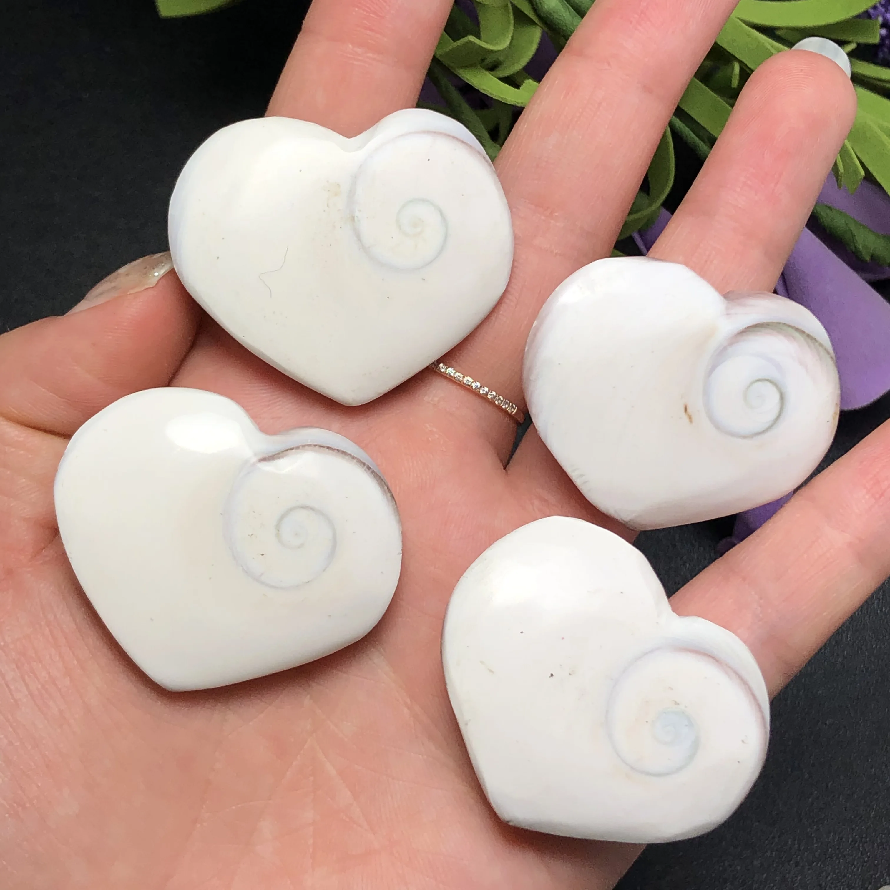 4 шт. натуральные солнечные ракушки ископаемые образцы кристалл любовь сердце