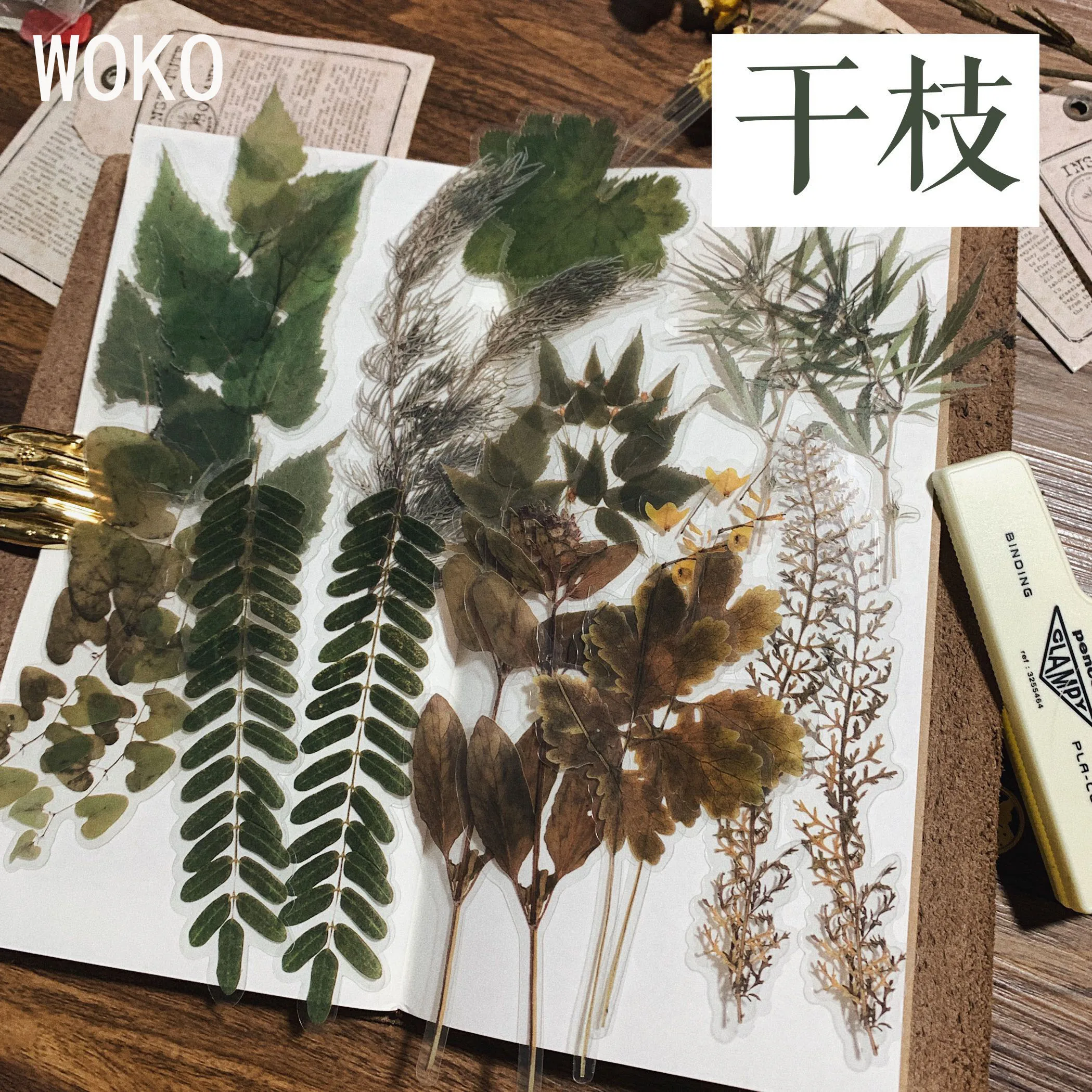 WOKO 20 шт./упак. прозрачный цветок, растение, свадебная брошь, ретро папоротник/эвкалипты/сухих цветов/хлопок/филиал Стикеры "сделай сам" Пуля журнал Скрапбукинг - Цвет: gan zhi
