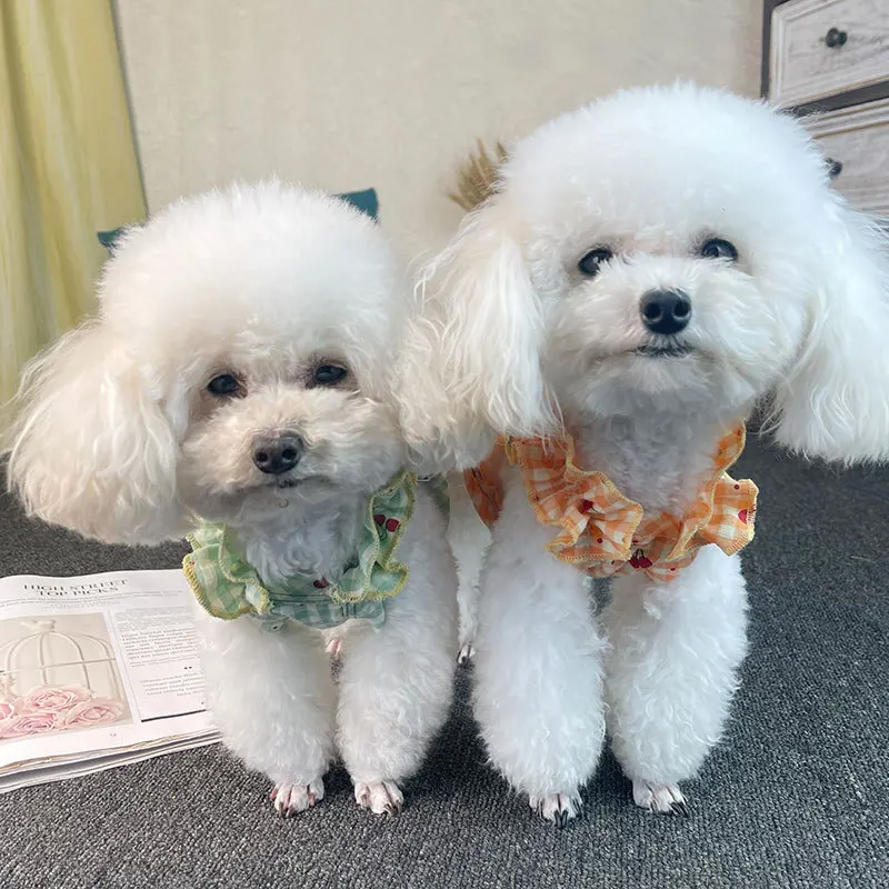 Вишенка клетчатый жилет на лямках Объем груди С изображением милого плюшевого