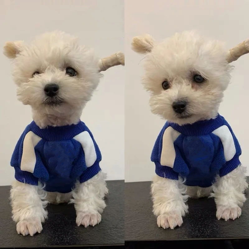 Модная толстовка с капюшоном для собак Спортивная стильная одежда кошек теплая