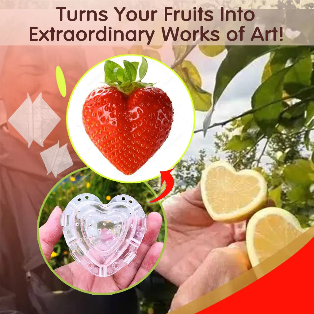 

Heart Shape Fruit Growth Mold Plastic Fruit Strawberry Growth Forming Mold Transparent Fruit Growing Shaping Mould Mould Tools