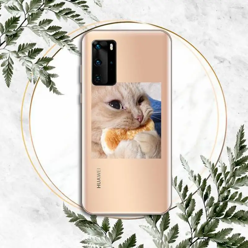 

Cute cat funny Phone Case Transparent for huawei P 40 30 20 lite pro smart 2019 honor 8X 10i 10 cover