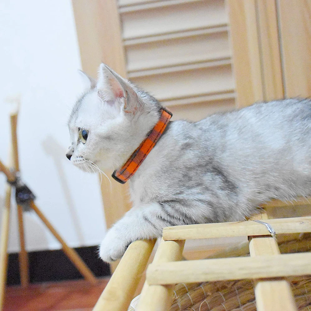 Ошейник для кошек с колокольчиком новинка 2020 ошейник безопасности съемный