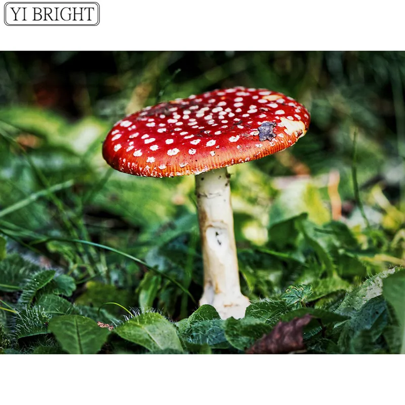 

Diamond painting mushroom landscape full square diamond mosaic embroidery sale rhinestone decoration home decorations