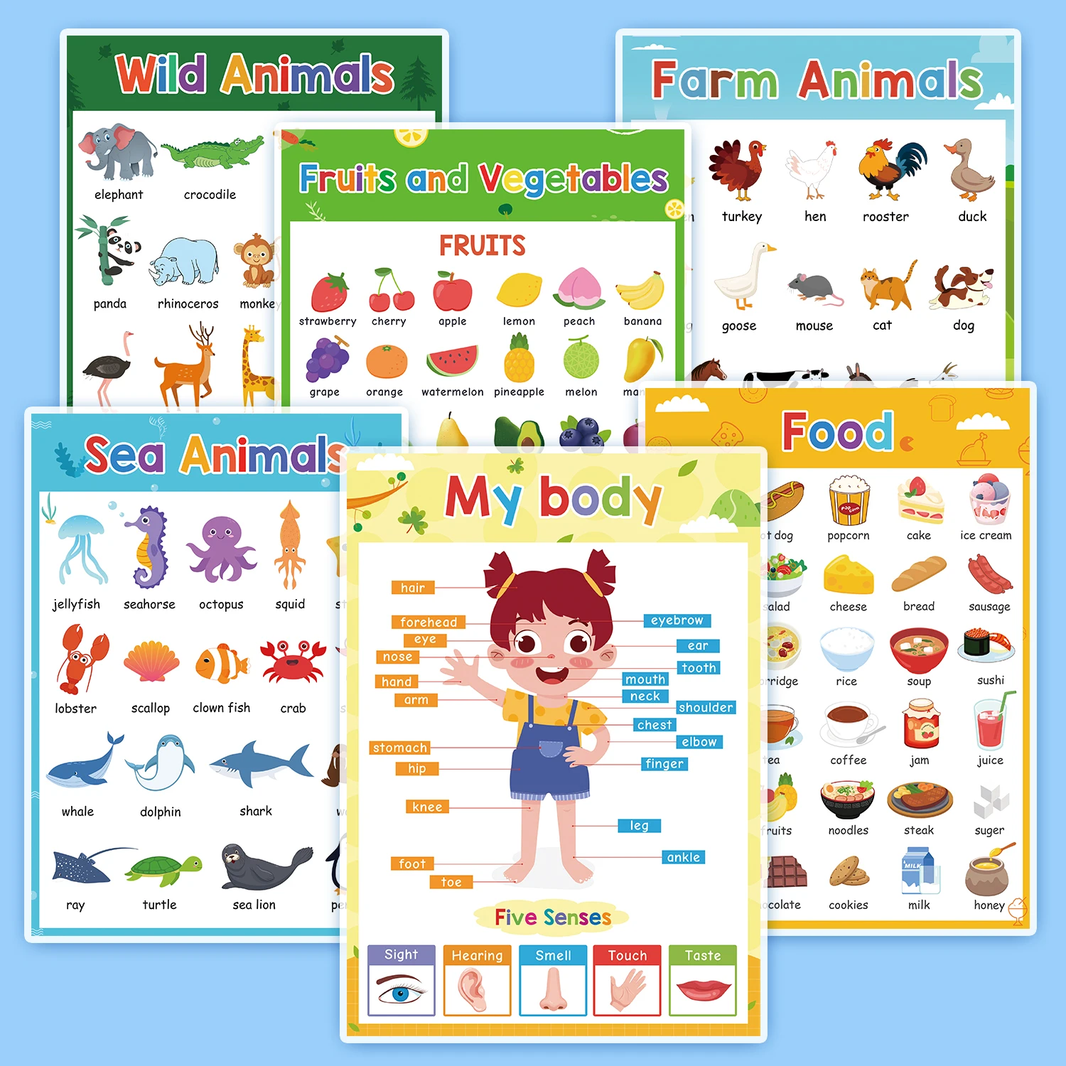 6 יח'\סט פירות מזון גוף חלקי חיות באנגלית מילות בכיתה דקור A4 פוסטר פוסטרים חינוכיים לילדים תינוק