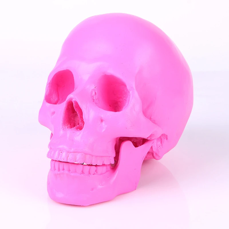

Розовая статуя черепа в масштабе 1:1 для домашнего декора, статуэтки из смолы, украшение для Хэллоуина, скульптура, медицинская обучающая эск...