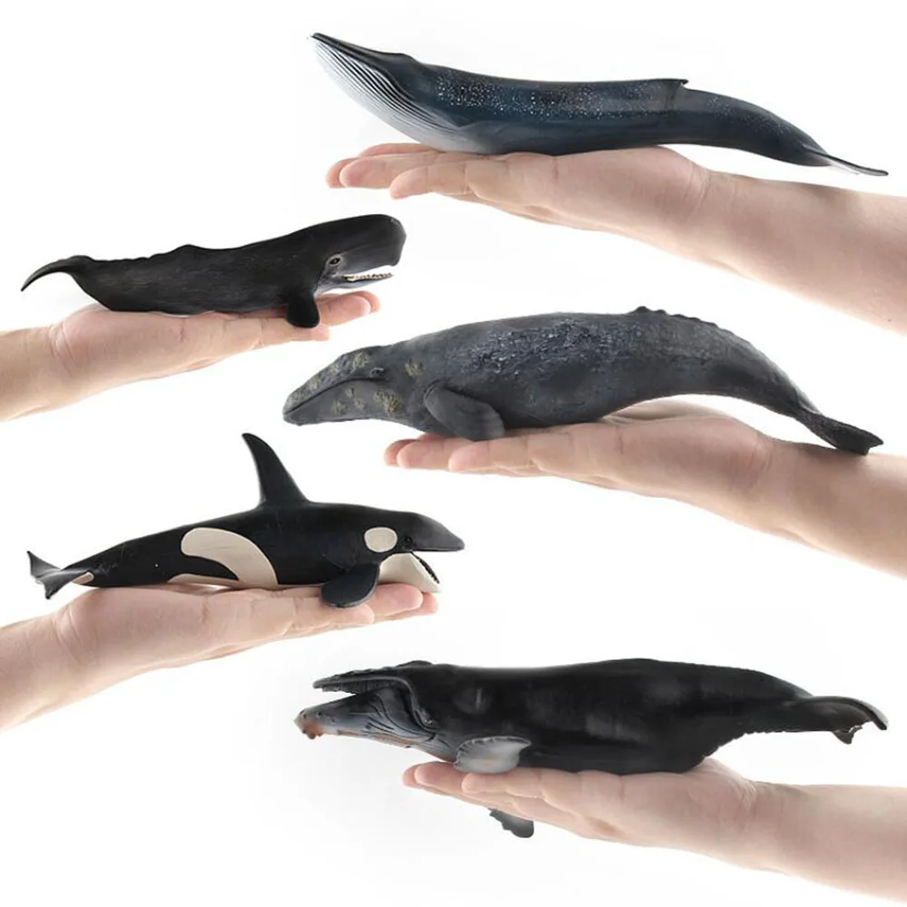

Simulated Marine Animals Model Girl Boy Toys White Humpback Whale Bluewhalel Car Ornaments Kids Toy Learning Cognitive Education