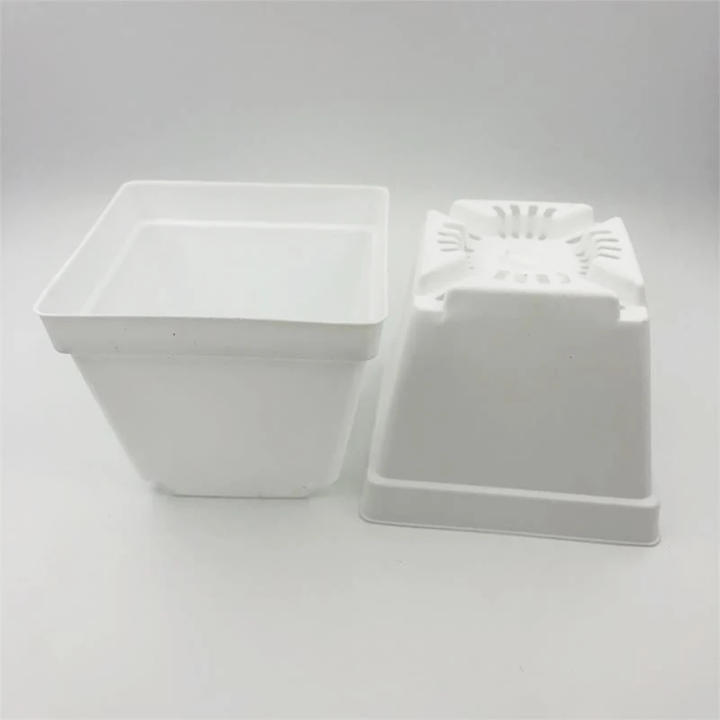 

50Pcs/Lot D10XH8.5CM Mini Nursery Black Plastic Planters Square Succulents Pots Small