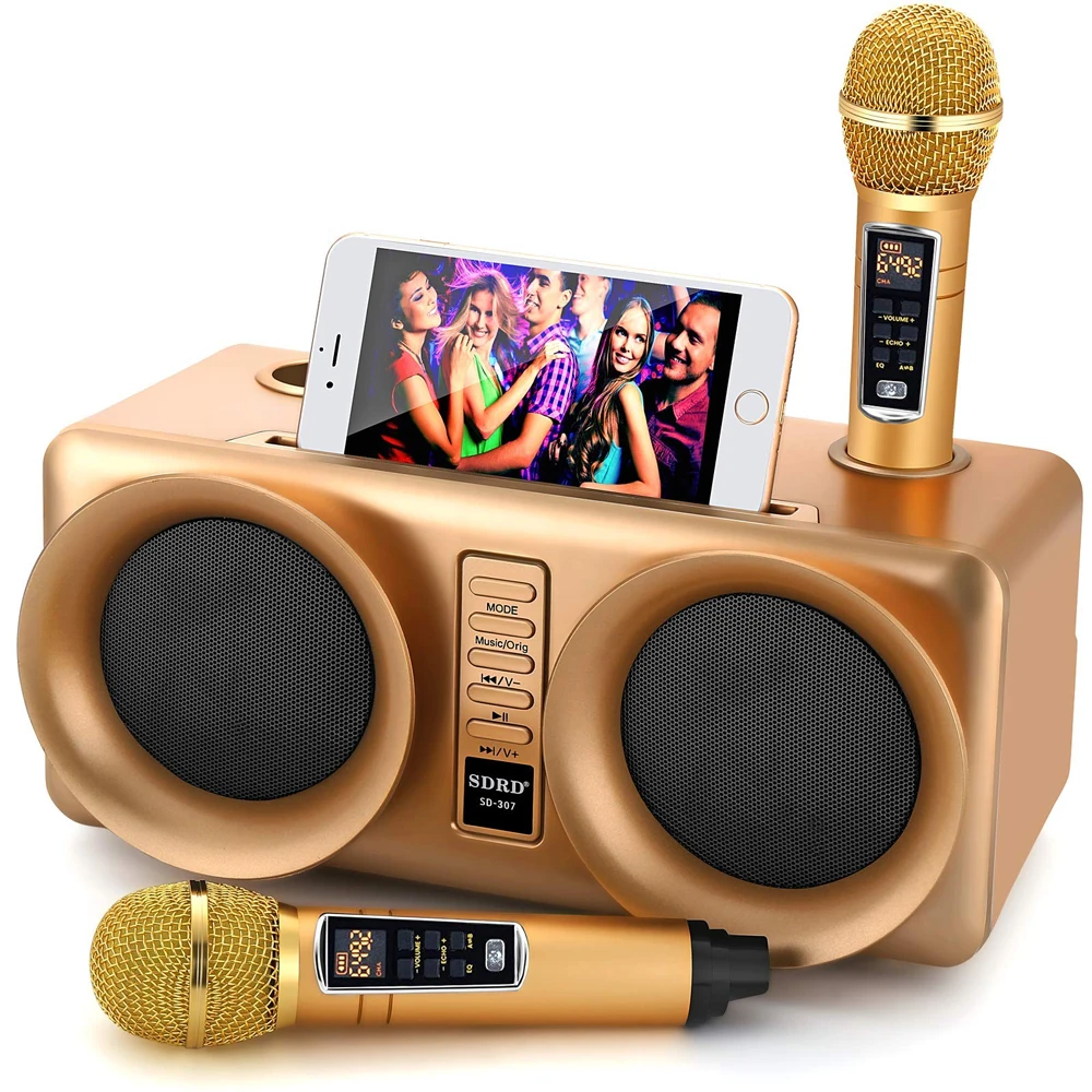 

SDRD Karaoke Machine Portable PA Speaker System With 2 Wireless Microphone for Home Party Meeting Wedding Church Picnic Outdoor