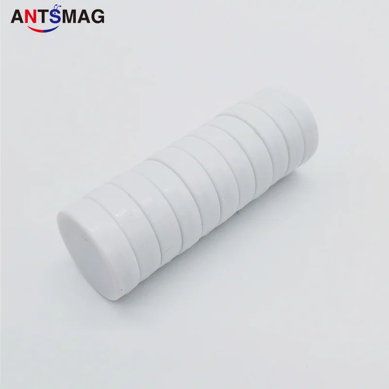Небьющиеся неодимовые магниты N52 с пластиковым покрытием 6 шт. D20X5.0MM (13/16