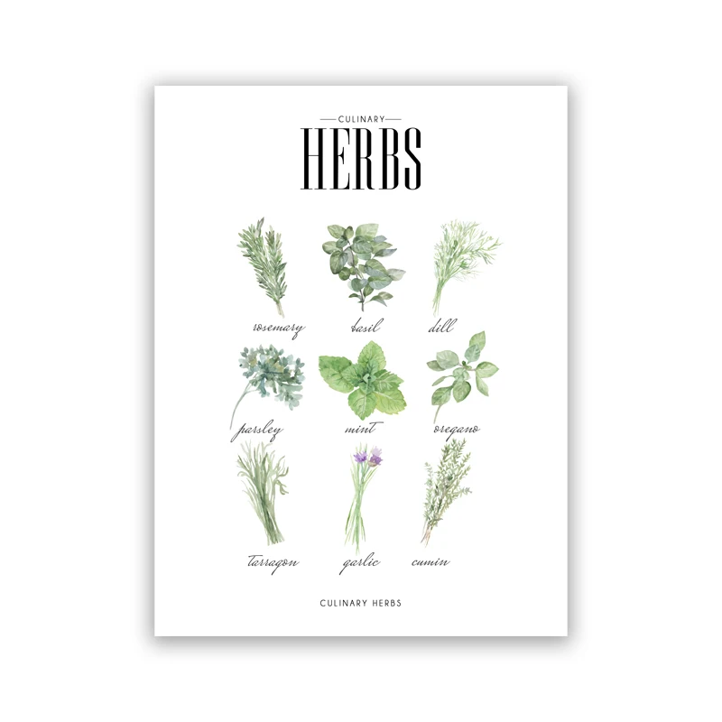 

Кухонный постер с травами и специями Duknow