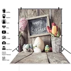Laeacco серый фон для фотосъемки с пасхальным Днем яйца корзина цветы кролик деревянная доска Фото фоны
