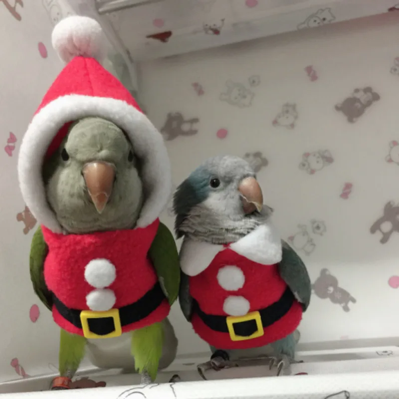 Теплая одежда ручной работы с птицами милый Летающий костюм для тараканов солнца