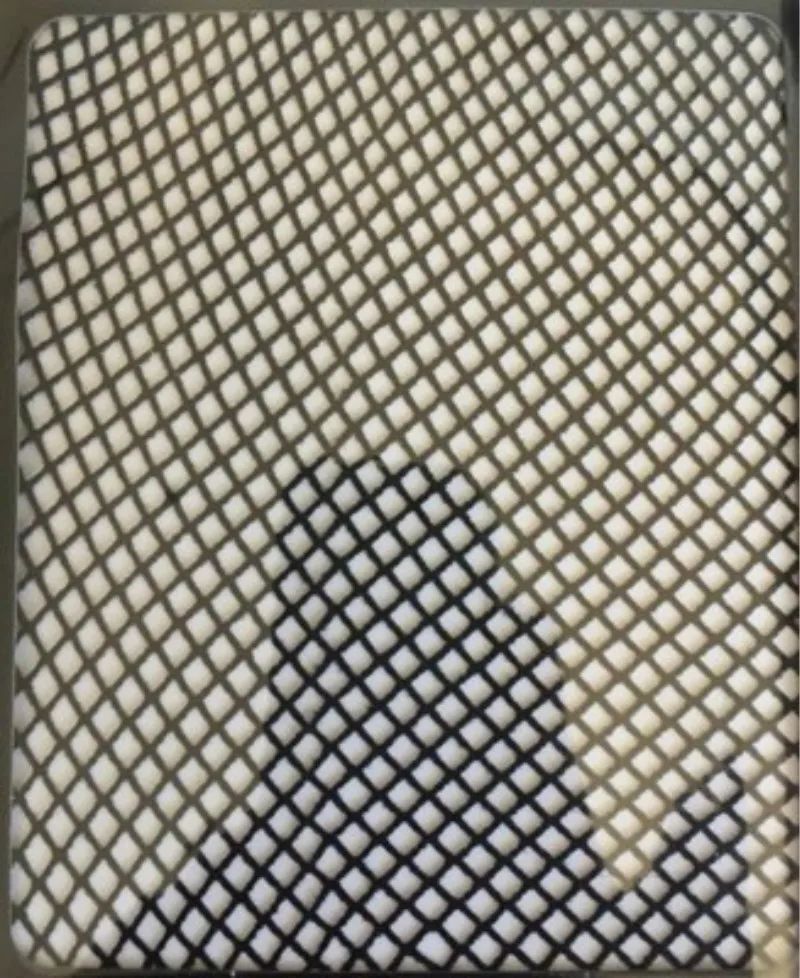 Выдалбливают сексуальные колготки женские босоножки с перфорацией Черный Для