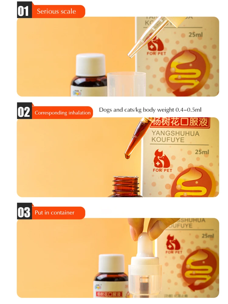 CHZKDog диарея кошка домашнее животное энтерит медицина рвота бактерии инфекция