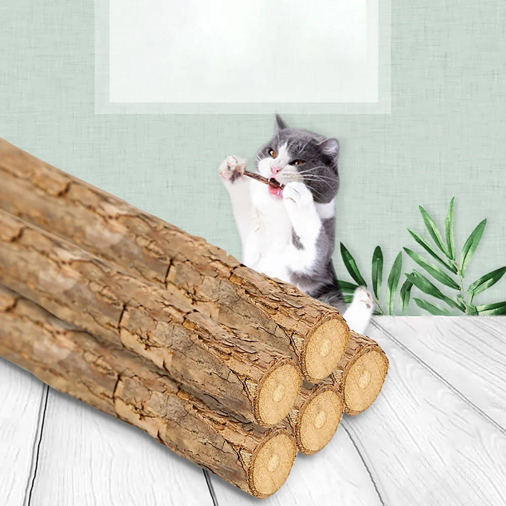 5 шт. зубная паста для кошек|Игрушки кошек| |