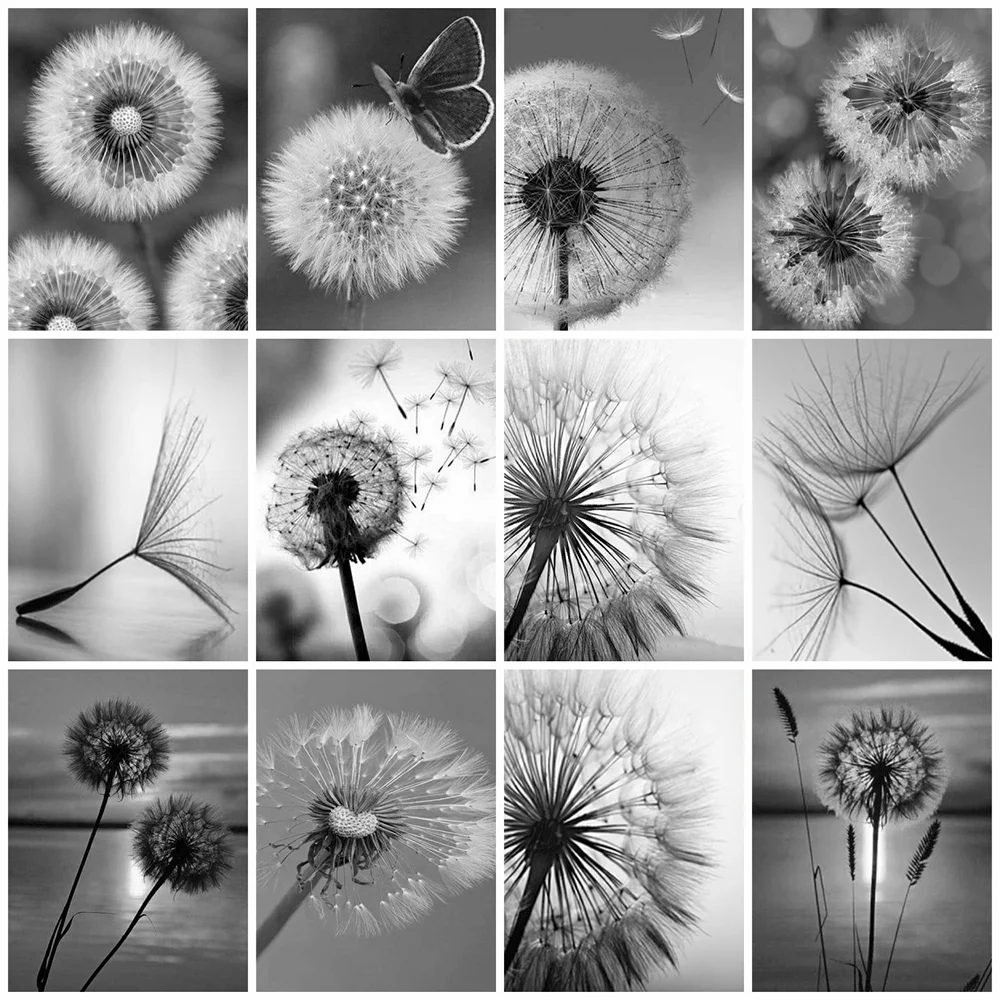 

HUACAN Diamond Mosaic Dandelion Flower 5D DIY Diamond Painting Black White Full Embroidery Kits Wall Paintings