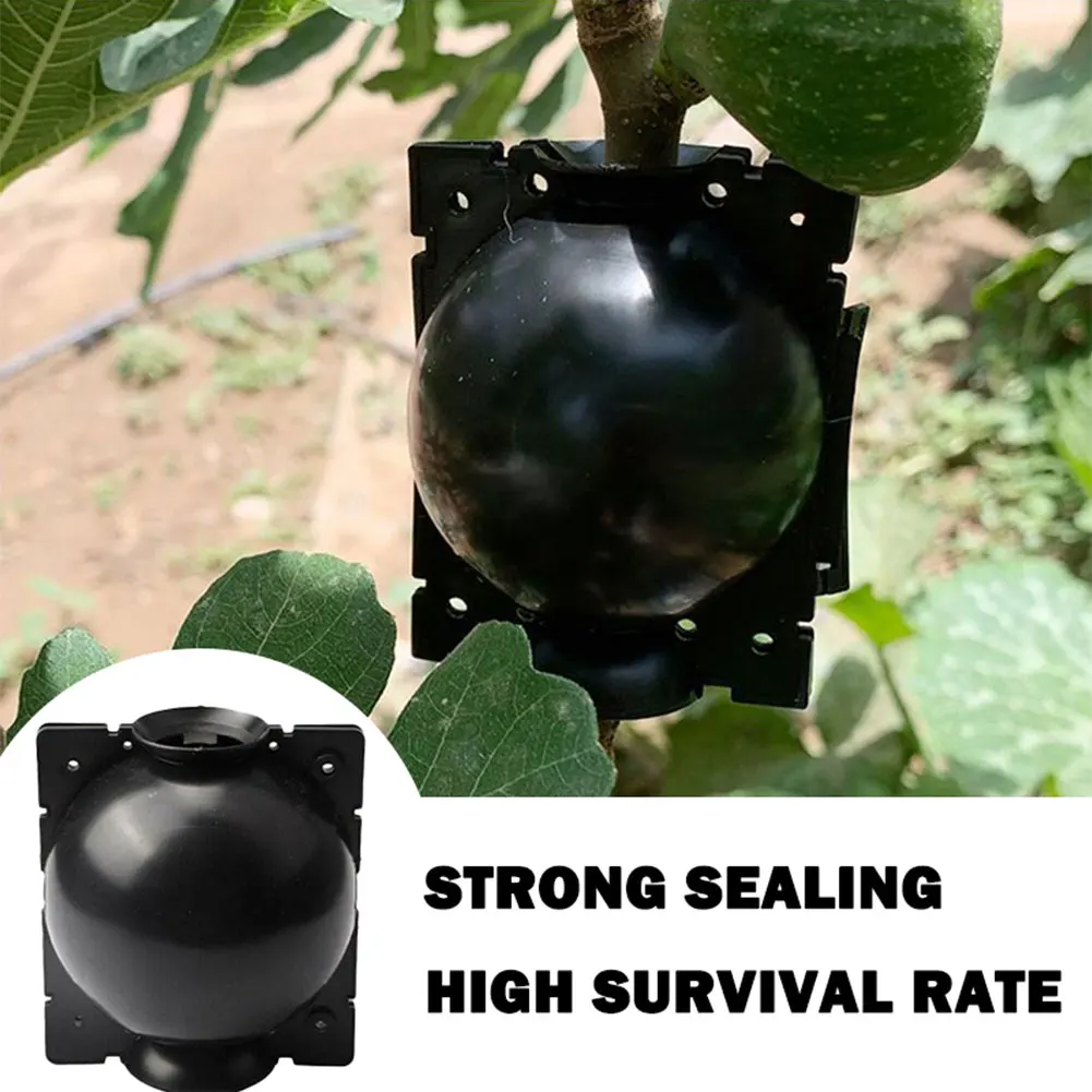 

4PCS Plant Root Device Root Breeding Ball High Pressure Growing Spreading Box For Garden Plugs Propagation Growing Boxes