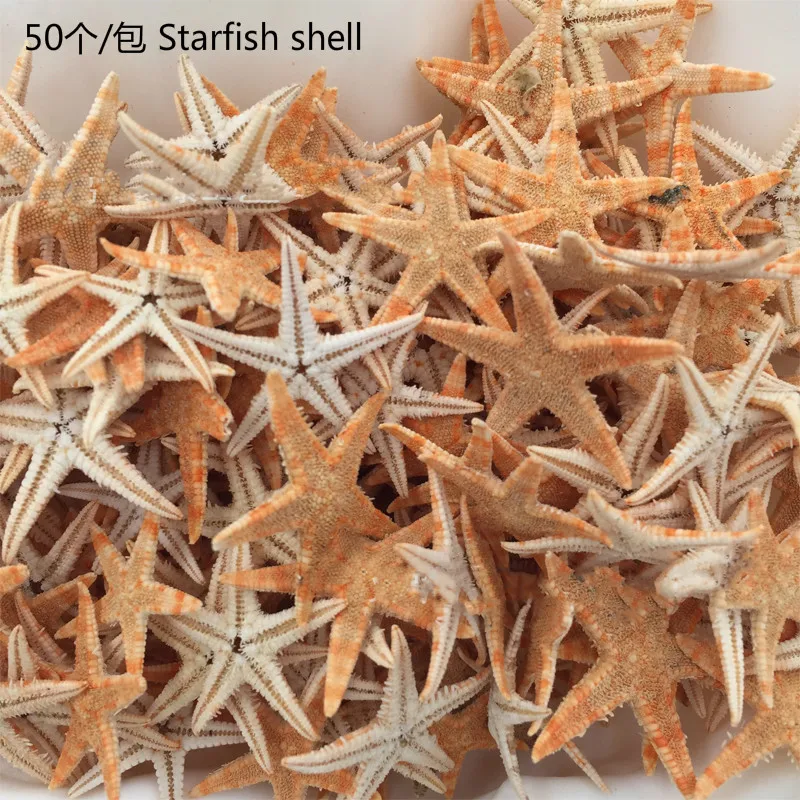 

50 pcs 2-3cm starfish shell beach crafts natural starfish wedding decoration crafts home furnishings