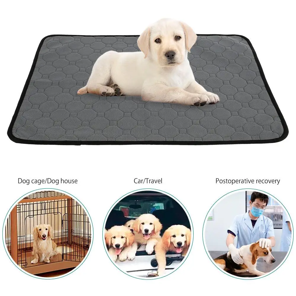 

Reusable Pet Bed Mat M-XL Sizes Washable Puppy Training Pad Non-Slip Fabric Fast Water Absorbent Dog Urine Pad Bed Sofa Pet Mat