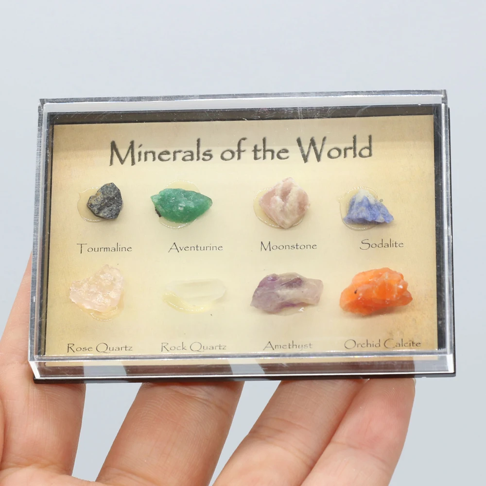 

8Pcs Exquisite Stone High Quality Mini Ore Specimens for Women Men Charm Jewelry Gifts Perfect Collection Size 8-14 mm