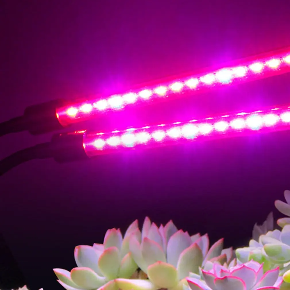 Растительный свет с двойной головкой горшечные саженцы Крытый зеленый растение