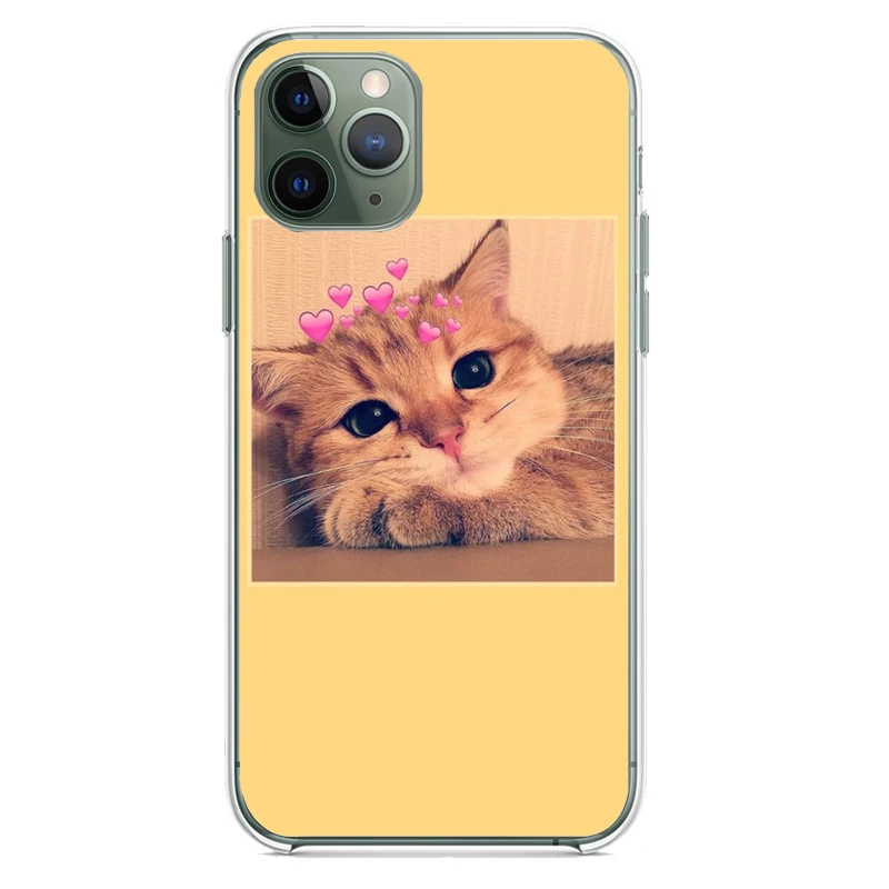 

Super cute cats photos Silicone phone case clear For iPhone12Pro XR 11 pro 11pro max X Xs XR 8 7 6 6S Plus 5 Soft case cover