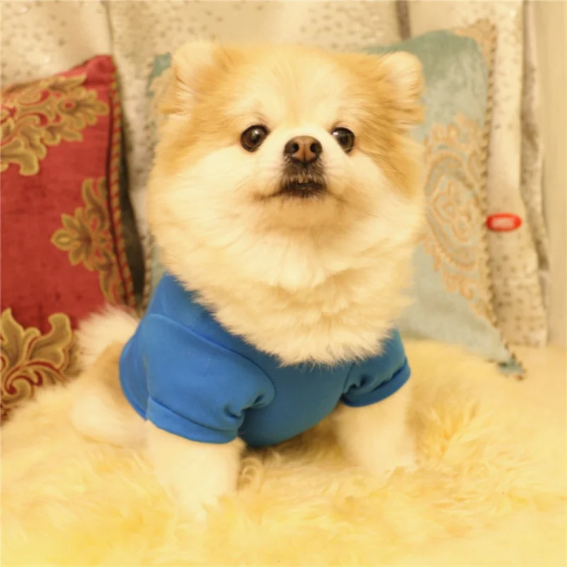 Вечерние футболки с изображением Счастливой Пасхи Одежда для собак и кошек