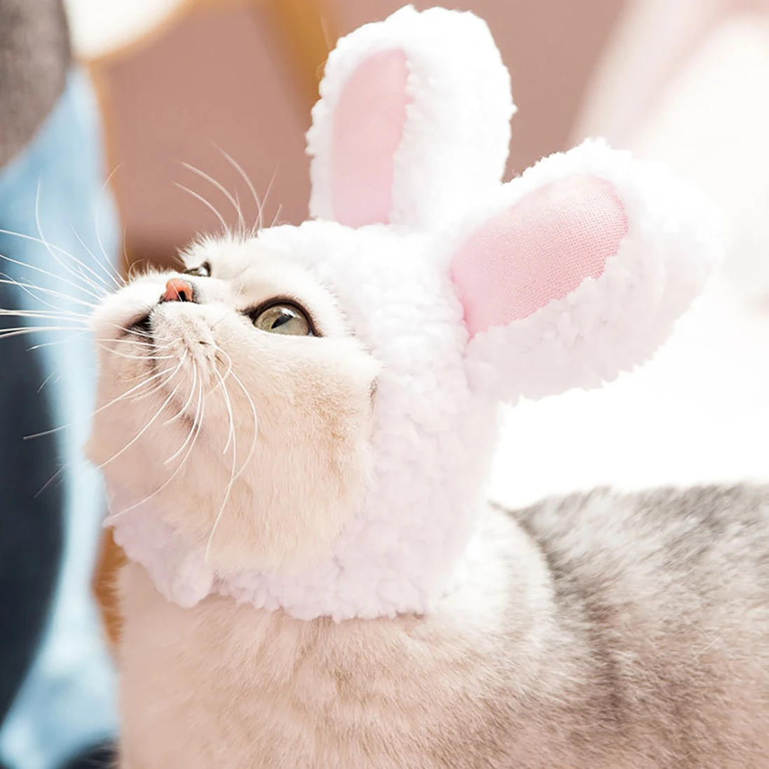 

Cat Dog White Rabbit Cute Warm Hat Comfortable Cotton Wool Headgear Adjustable In Autumn Winter