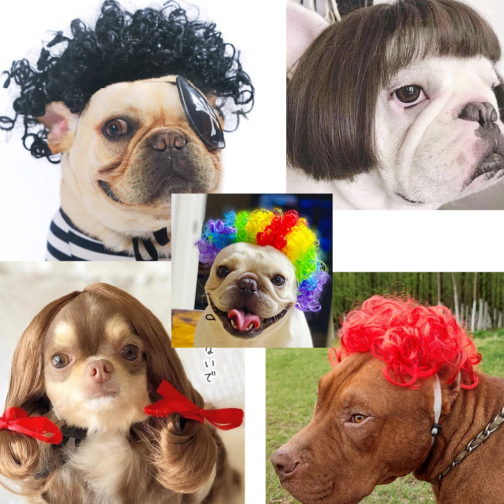 Funny Clown Headgear Pet Wig Bungo Stray Dogs Cosplay Wig Cat Linen Black Red Pet Short Curly Hair Brown Gold Long Hair Dog Wig