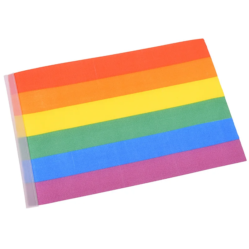 10 шт./лот гей Радужный ручной флаг ручная Мах парад гордости для геев баннеры 14x21