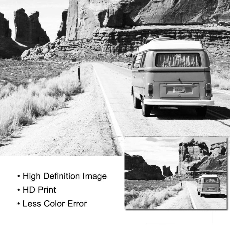 Черно белый пейзаж холст живопись кактус художественные принты плакат Дорожная