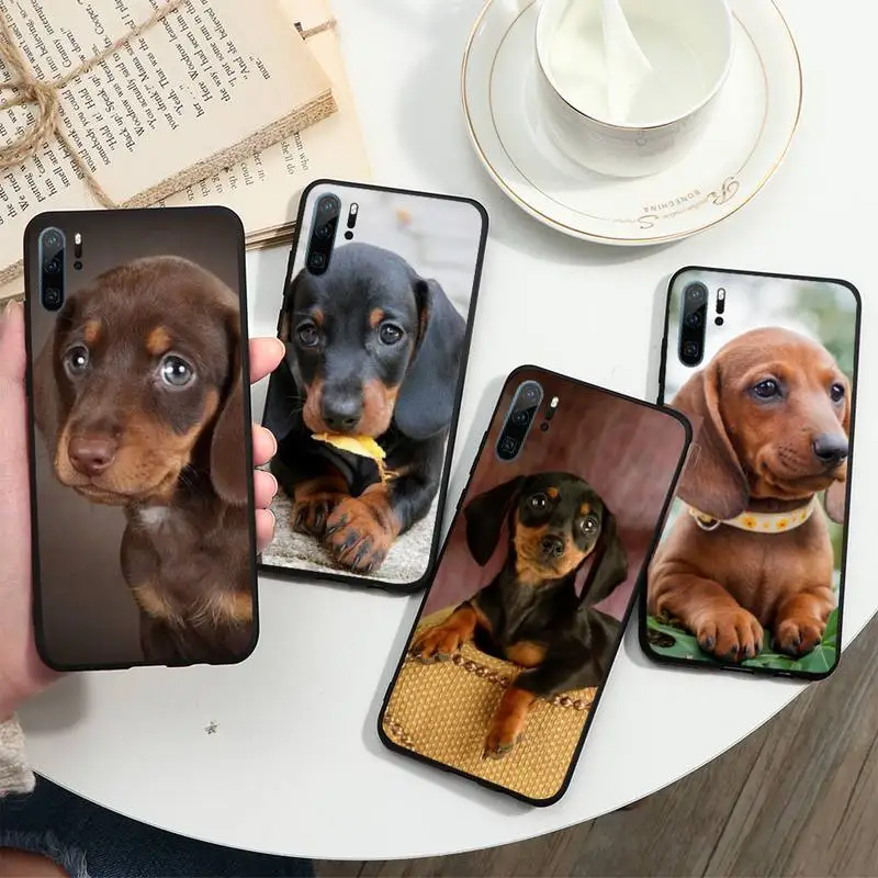 

Dachshund Doberman Dog face Phone Case For Huawei honor Mate P 10 20 30 40 i 9 8 pro x Lite smart 2019 nova 5t